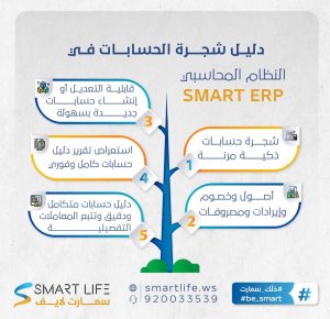 شجرة الحسابات : النظام المحاسبي SMART ERP